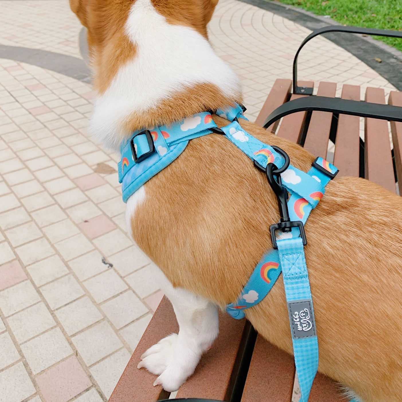 EGGPUFF Just Fit Harness