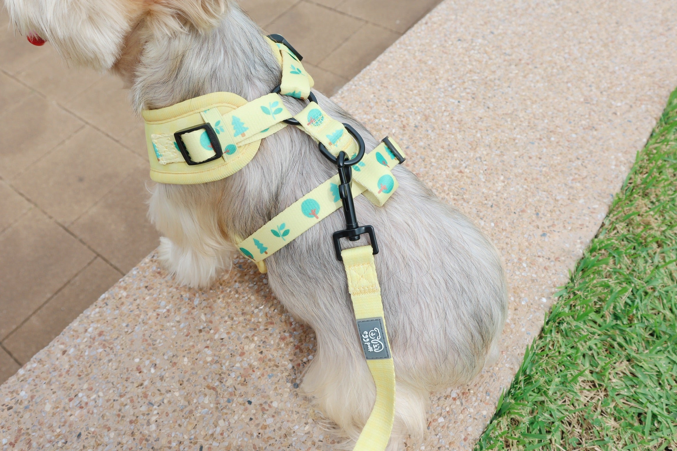 EGGPUFF Just Fit Harness