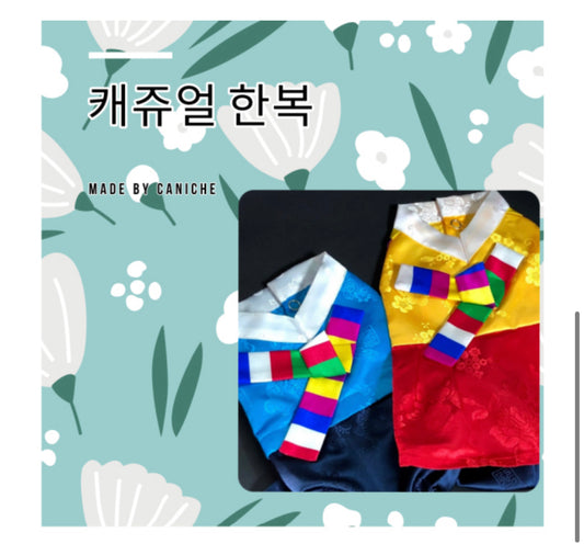 韓國正宗女裝韓服 Korean traditional clothe