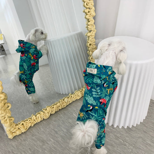 韓國熱帶雨林四腳雨衣 Korean rainforest four-legged raincoat