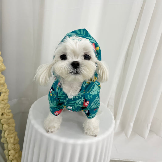 韓國熱帶雨林四腳雨衣 Korean rainforest four-legged raincoat