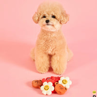 Wiggle Wiggle 乳膠玩具 三個裝 Latex toy 3pc