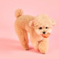 Wiggle Wiggle 乳膠玩具 三個裝 Latex toy 3pc