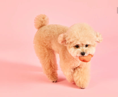 Wiggle Wiggle 乳膠玩具 三個裝 Latex toy 3pc