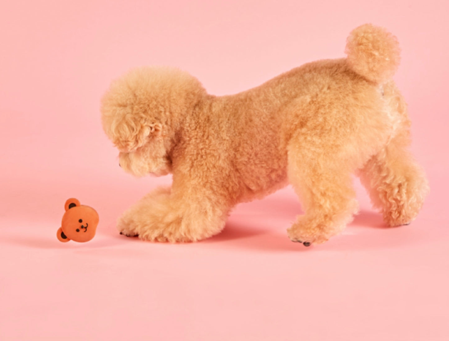 Wiggle Wiggle 乳膠玩具 三個裝 Latex toy 3pc