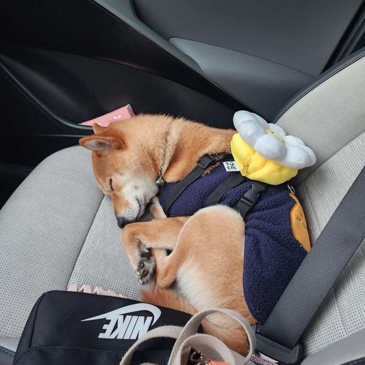 韓國笑花花背包狗繩 Korean Smile Flower Bag Leash