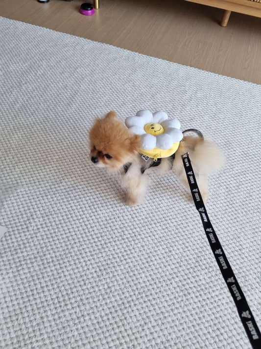 韓國笑花花背包狗繩 Korean Smile Flower Bag Leash