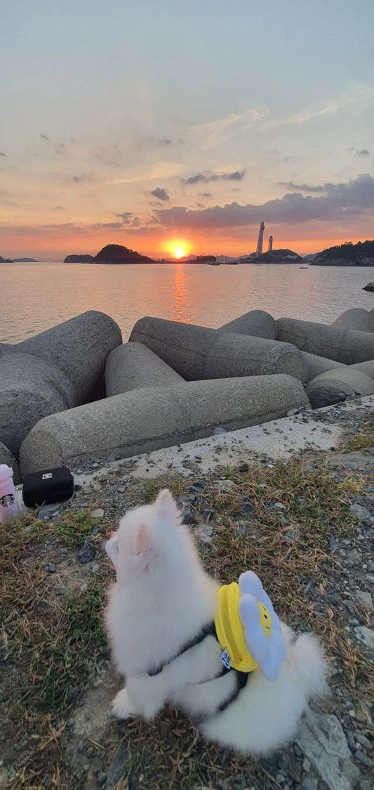 韓國笑花花背包狗繩 Korean Smile Flower Bag Leash