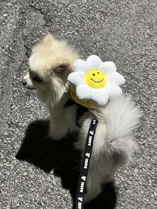 韓國笑花花背包狗繩 Korean Smile Flower Bag Leash