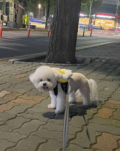 韓國笑花花背包狗繩 Korean Smile Flower Bag Leash