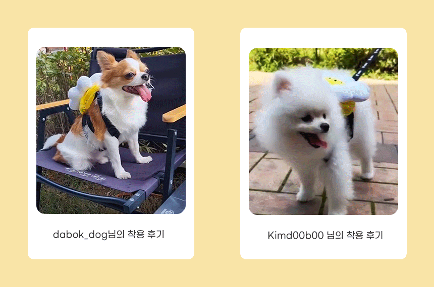 韓國笑花花背包狗繩 Korean Smile Flower Bag Leash