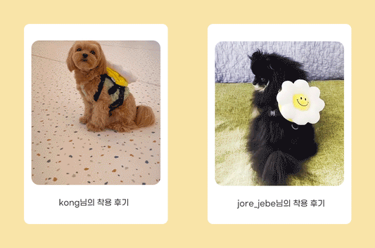 韓國笑花花背包狗繩 Korean Smile Flower Bag Leash