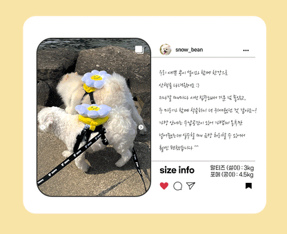 韓國笑花花背包狗繩 Korean Smile Flower Bag Leash