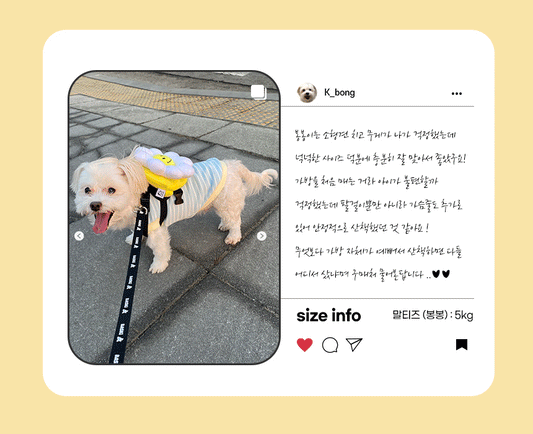 韓國笑花花背包狗繩 Korean Smile Flower Bag Leash