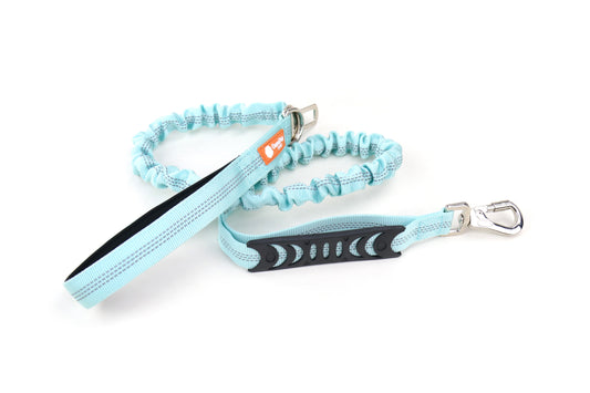 Gurmi 安全緩衝狗帶 (Tiffany Blue)