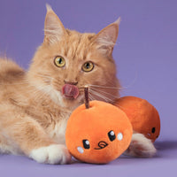 Cheese Ball Snuffle Toy 芝士波波藏食玩具 (貓貓版 含貓草）