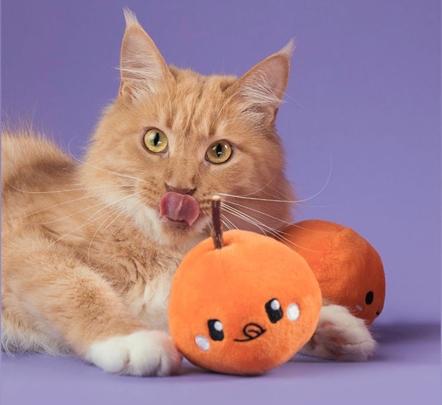 Cheese Ball Snuffle Toy 芝士波波藏食玩具 (貓貓版 含貓草）