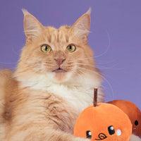 Cheese Ball Snuffle Toy 芝士波波藏食玩具 (貓貓版 含貓草）