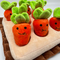 香港獨家 韓國紅蘿蔔農田 Carrot Farm