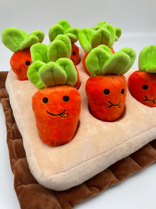 香港獨家 韓國紅蘿蔔農田 Carrot Farm