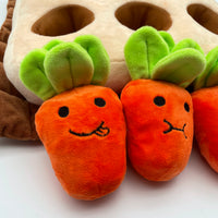 香港獨家 韓國紅蘿蔔農田 Carrot Farm