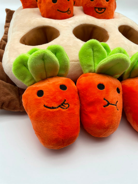 香港獨家 韓國紅蘿蔔農田 Carrot Farm