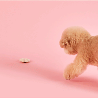 Wiggle Wiggle 乳膠玩具 三個裝 Latex toy 3pc