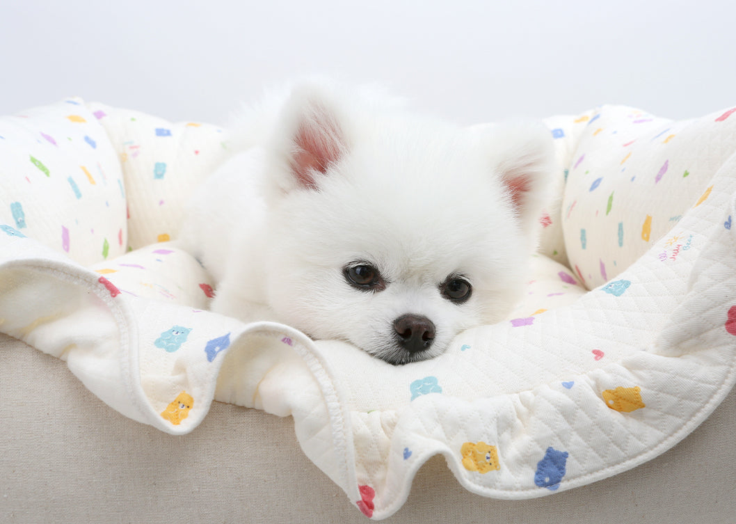 Itsdog 韓國軟綿綿親膚熊仔糖厚身寵物床 Korean Soft and Fluffy Jelly Bear Pet Bed (with Pillow)