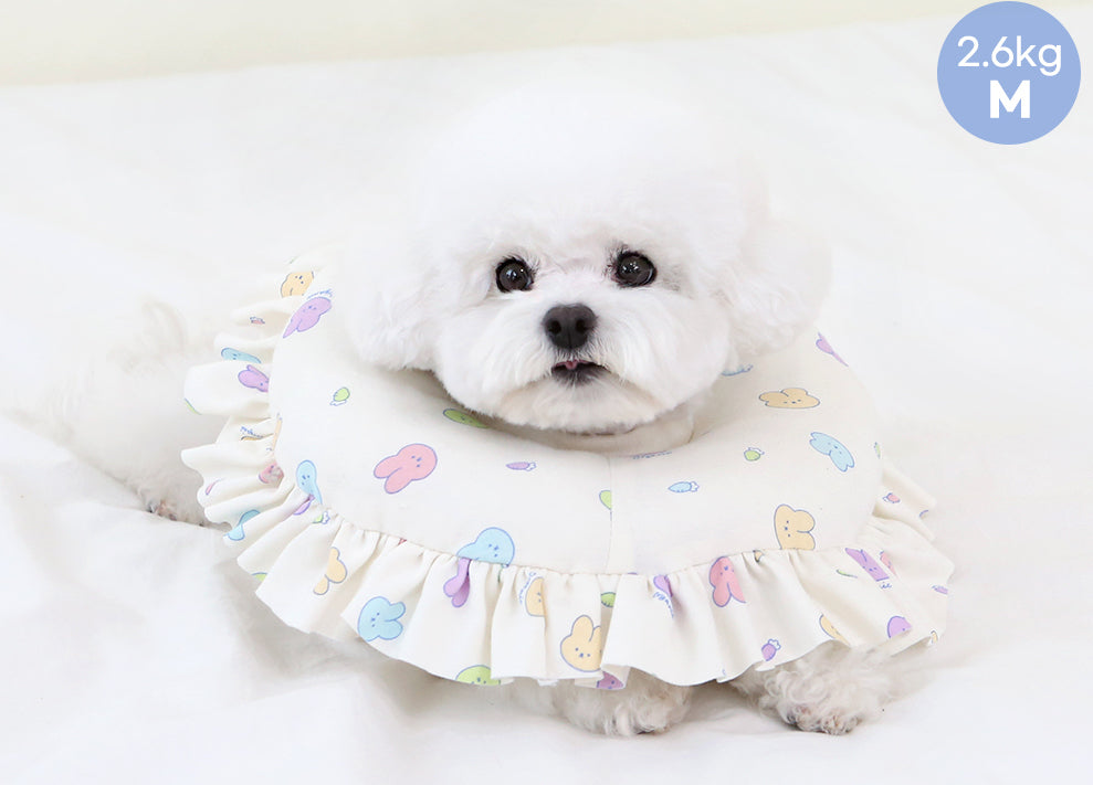 Itsdog Jelly Bunny 花邊防舔咬頸圈 Jelly Bunny anti-bite collar