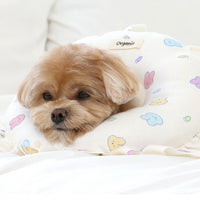 Itsdog Jelly Bunny 花邊防舔咬頸圈 Jelly Bunny anti-bite collar