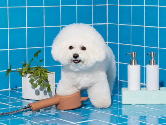 Teddy Island Paw Paw Shower 貓狗專用花灑