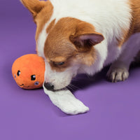 Cheese Ball Snuffle Toy 芝士波波藏食玩具 (狗狗版）