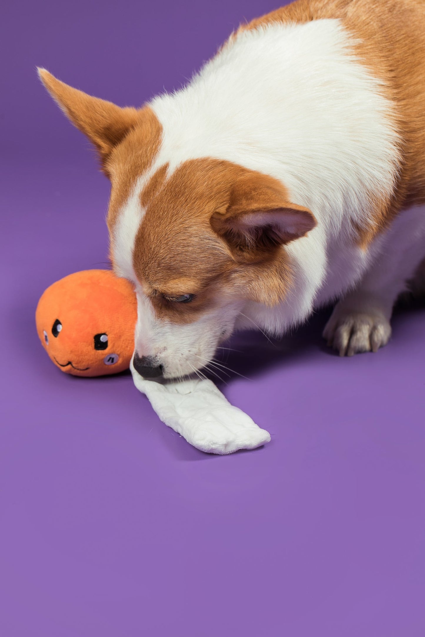 Cheese Ball Snuffle Toy 芝士波波藏食玩具 (狗狗版）