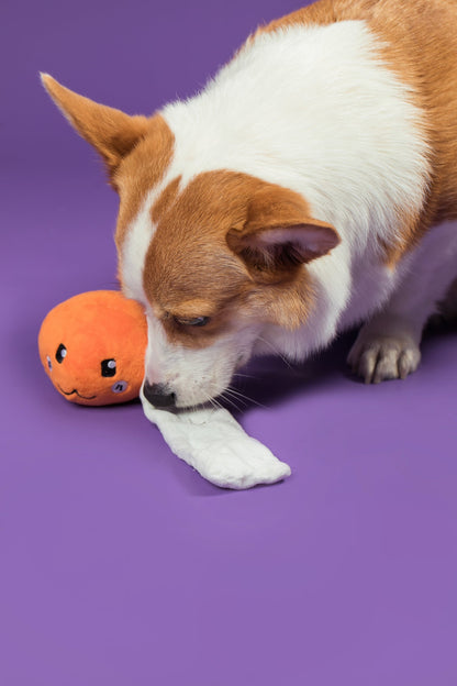 Cheese Ball Snuffle Toy 芝士波波藏食玩具 (狗狗版）