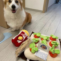 香港獨家 韓國紅蘿蔔農田 Carrot Farm