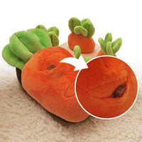 香港獨家 韓國紅蘿蔔農田 Carrot Farm