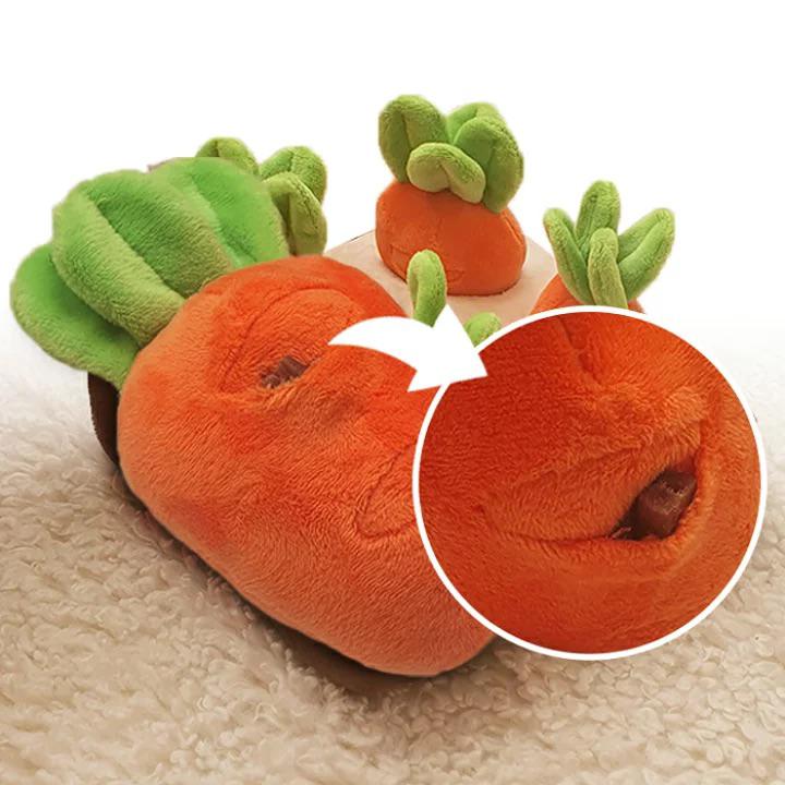 香港獨家 韓國紅蘿蔔農田 Carrot Farm