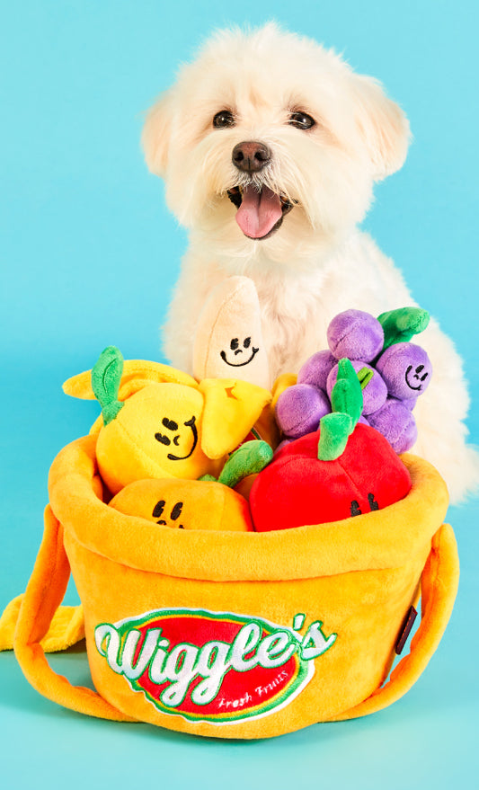 Wiggle Wiggle Fruits Set 生果籃玩具