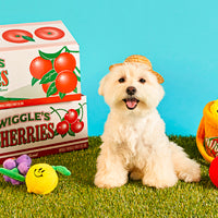 Wiggle Wiggle Fruits Set 生果籃玩具