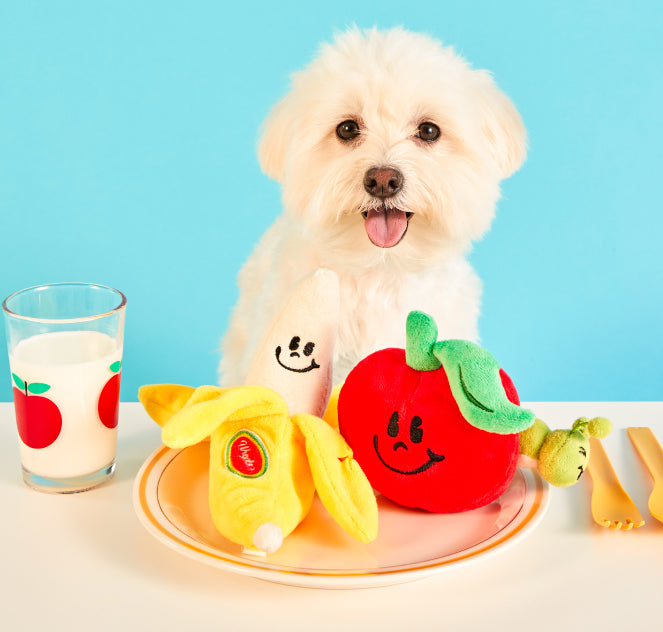 Wiggle Wiggle Fruits Set 生果籃玩具