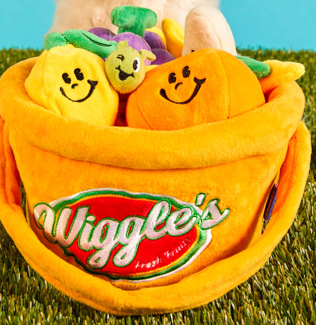 Wiggle Wiggle Fruits Set 生果籃玩具
