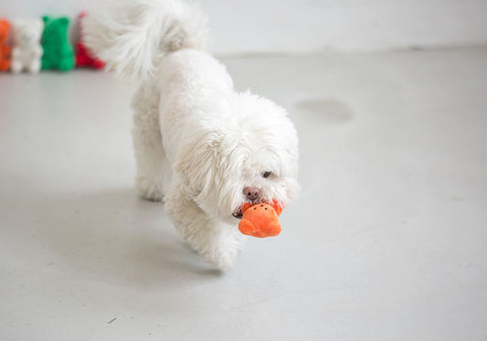 BITE ME Gummy Bear Toy 熊仔糖發聲玩具