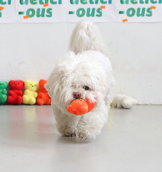 BITE ME Gummy Bear Toy 熊仔糖發聲玩具