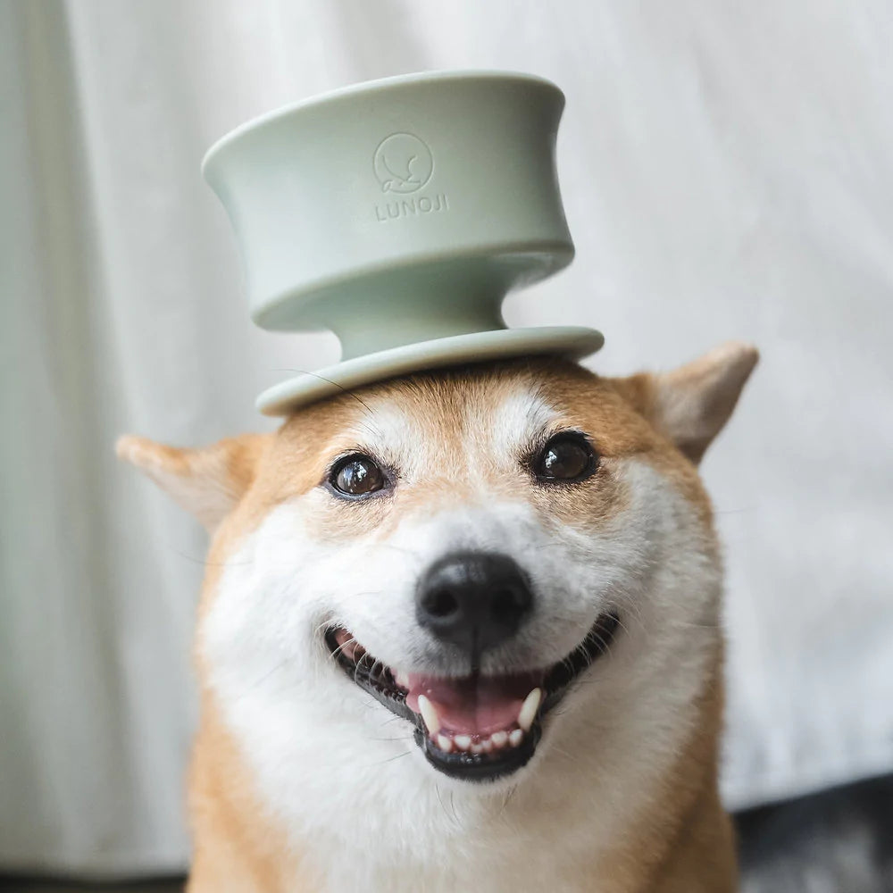 Lunoji CHEWDEN (Grip/Base/Trove) 咬咬/舔舔慢食