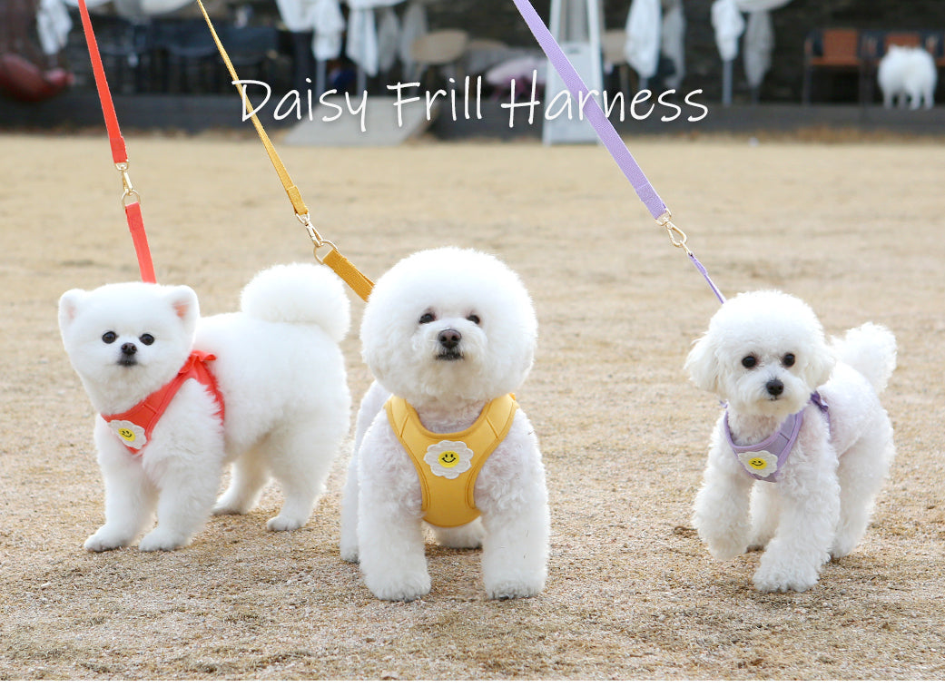 Itsdog 荷葉邊花花胸帶 Lotus Leaf Edged Floral Harness