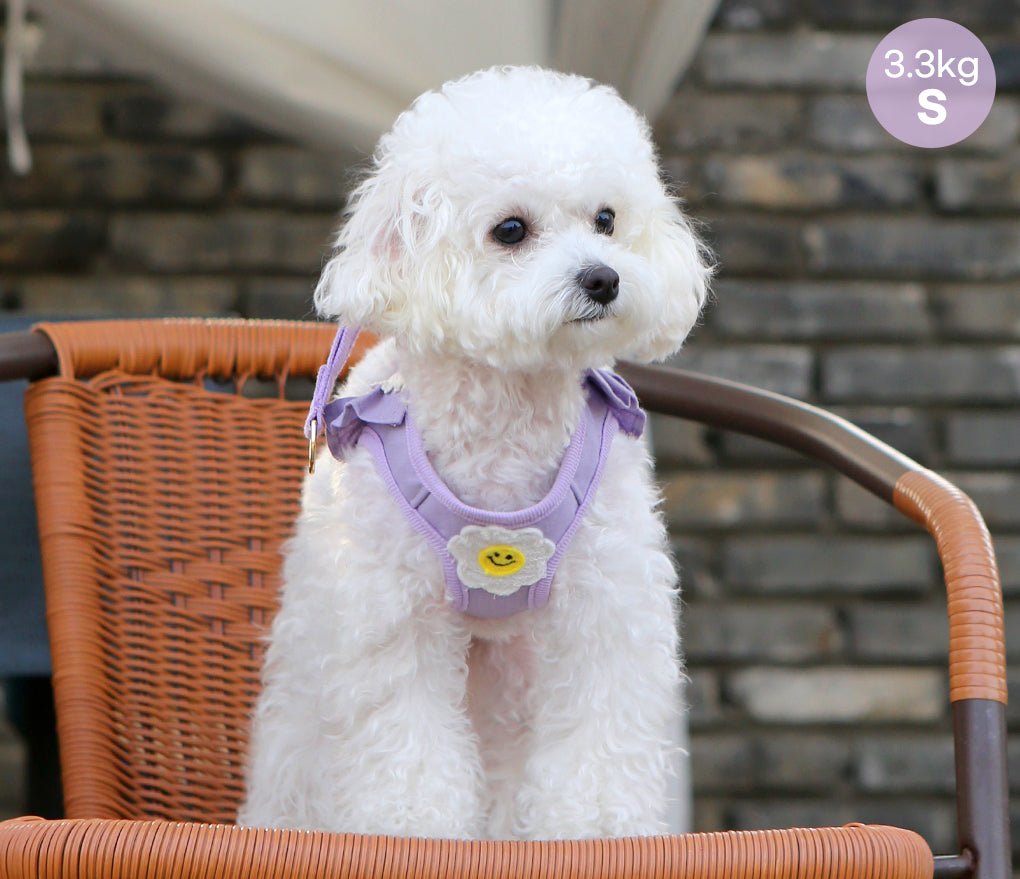 Itsdog 荷葉邊花花胸帶 Lotus Leaf Edged Floral Harness