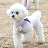 Itsdog 荷葉邊花花胸帶 Lotus Leaf Edged Floral Harness