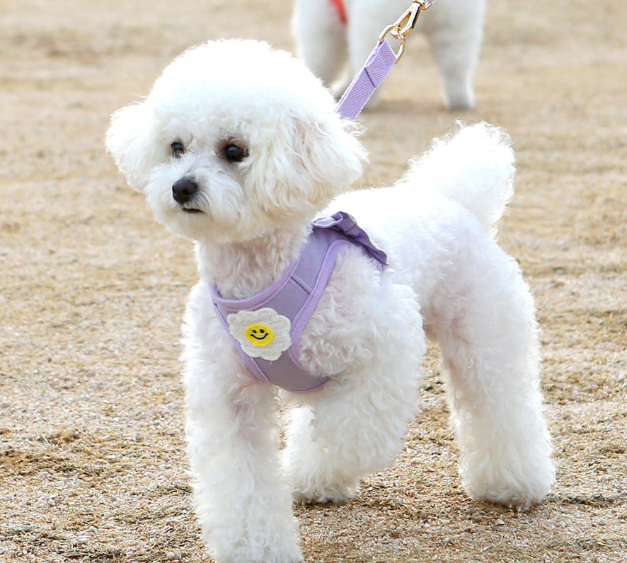 Itsdog 荷葉邊花花胸帶 Lotus Leaf Edged Floral Harness