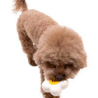 BaconBox Strawberry Flower Latex Toy 花花乳膠玩具