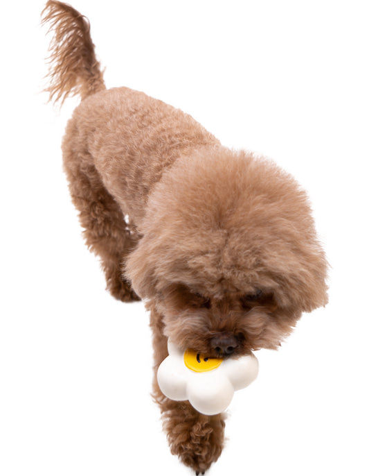 BaconBox Strawberry Flower Latex Toy 花花乳膠玩具